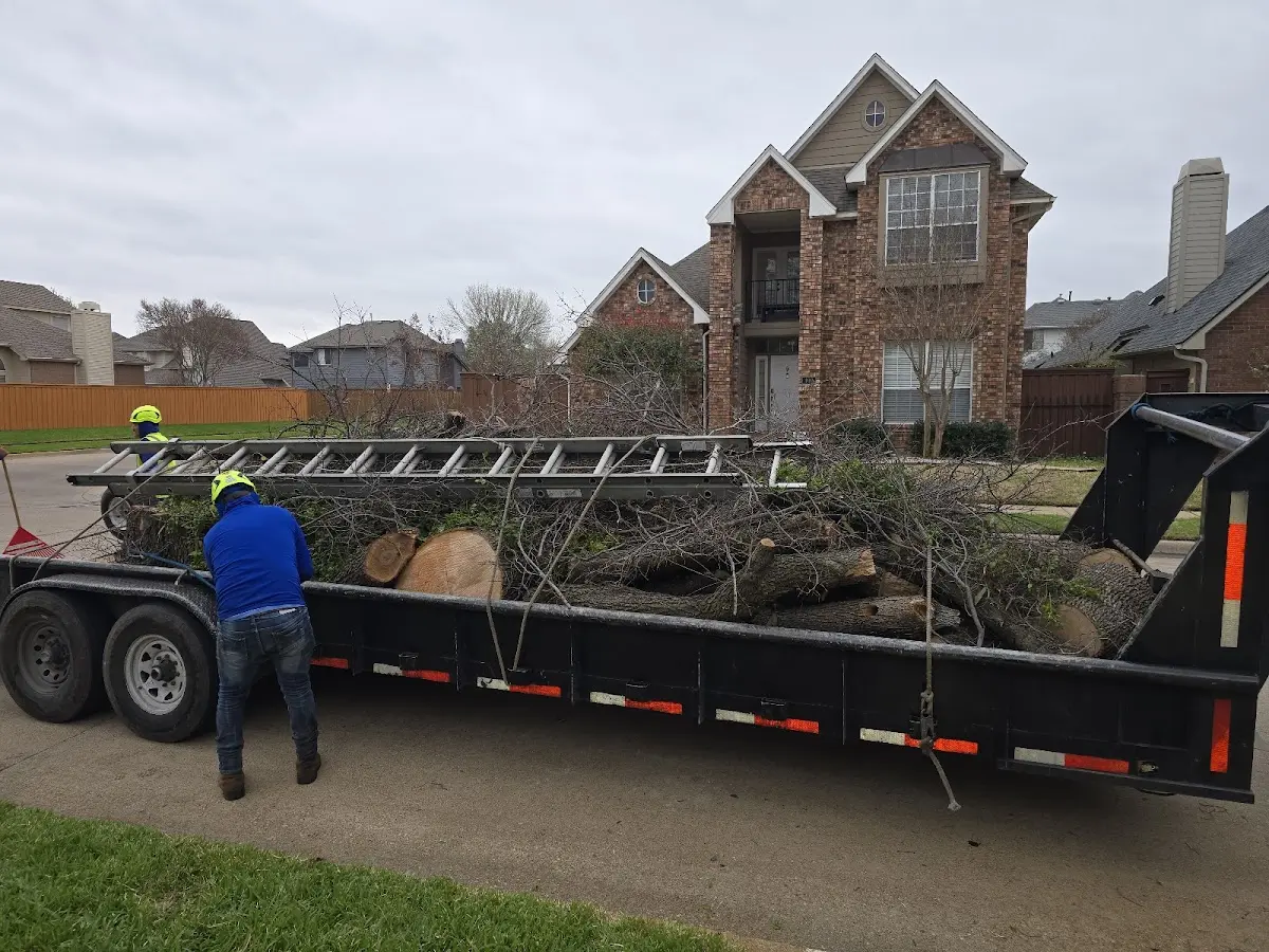 Expert Tree Pest Control with proper safety equipment in Moorland